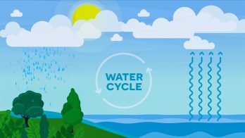 water cycle diagram labeled for teenagers