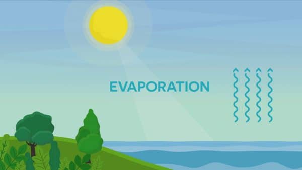 evaporation water cycle for kids