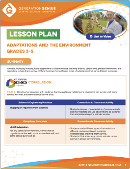 Adaptations and the Environment Lesson Plan