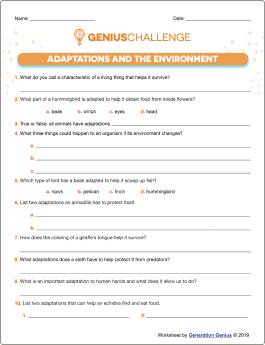 Adaptations and the Environment Printable Worksheet