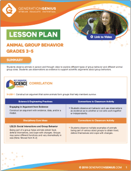 Animal Group Behavior Lesson Plan