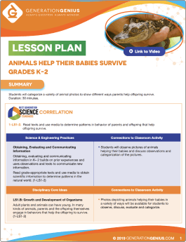 Animals Help Their Babies Survive Lesson Plan