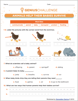 Animals Help Their Babies Survive Printable Worksheet