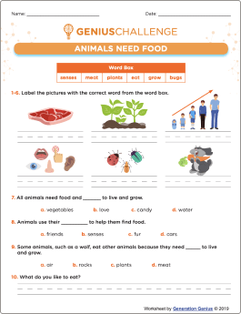 Animals Need Food Printable Worksheet
