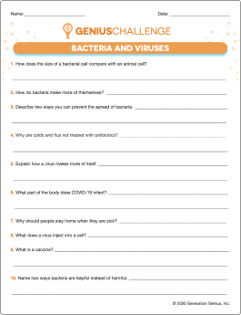 Bacteria & Viruses Printable Worksheet