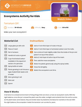 Ecosystems DIY Activity