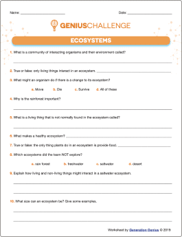 Ecosystems Printable Worksheet