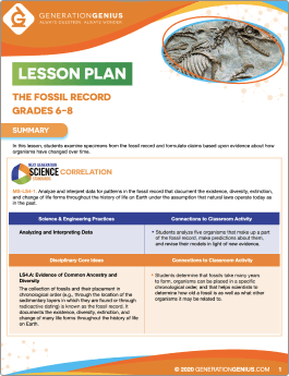 The Fossil Record Lesson Plan