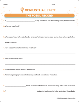 The Fossil Record Printable Worksheet