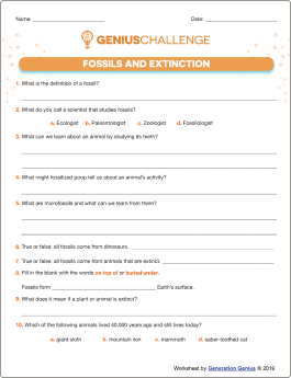 Fossils & Extinction Printable Worksheet