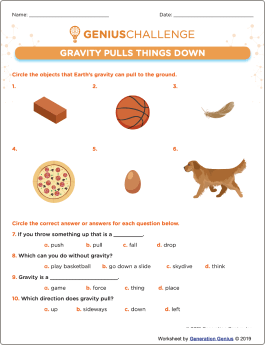 Gravity Pulls Things Down Printable Worksheet