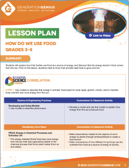 How Do We Use Food Lesson Plan