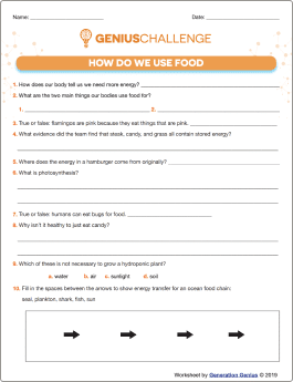How Do We Use Food Printable Worksheet