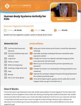 Human Body Systems DIY Activity