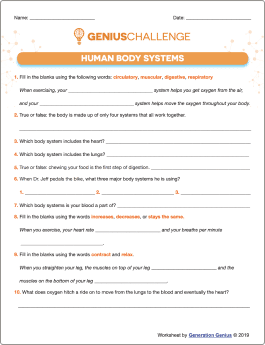 Human Body Systems Printable Worksheet