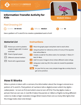 Information Transfer DIY Activity