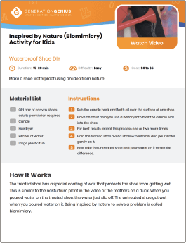 Inspired by Nature (Biomimicry) DIY Activity