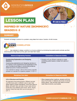 Inspired by Nature (Biomimicry) Lesson Plan