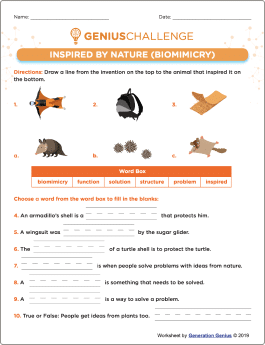 Inspired by Nature (Biomimicry) Printable Worksheet