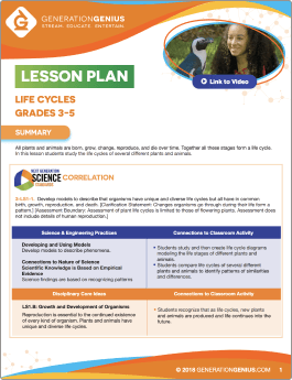 Animal & Plant Life Cycles Lesson Plan