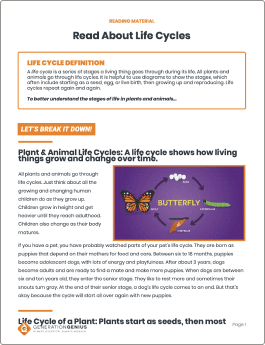 Animal & Plant Life Cycles Reading Material