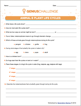 Animal & Plant Life Cycles Printable Worksheet