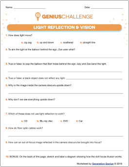 Light Reflection & Vision Printable Worksheet