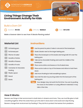 Living Things Change Their Environment DIY Activity