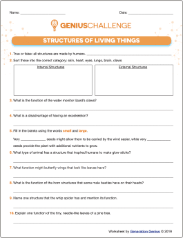 Structure of Living Things Printable Worksheet