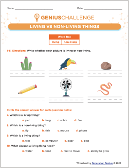 Living vs. Non-Living Things Printable Worksheet