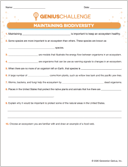 Maintaining Biodiversity Printable Worksheet