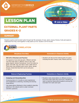 Parts of a Plant Lesson Plan