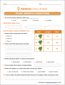 Plant Growth Conditions Printable Worksheet