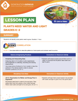 Plants Need Water And Light Lesson Plan