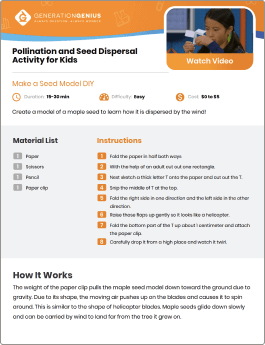 Pollination and Seed Dispersal DIY Activity