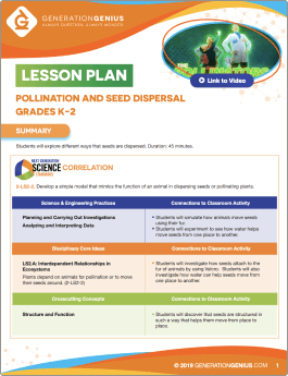 Pollination and Seed Dispersal Lesson Plan