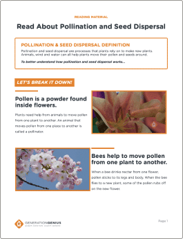 Pollination and Seed Dispersal Reading Material