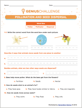 Pollination and Seed Dispersal Printable Worksheet