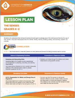 The Five Senses Lesson Plan
