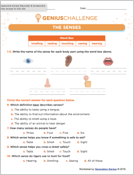 The Five Senses Printable Worksheet